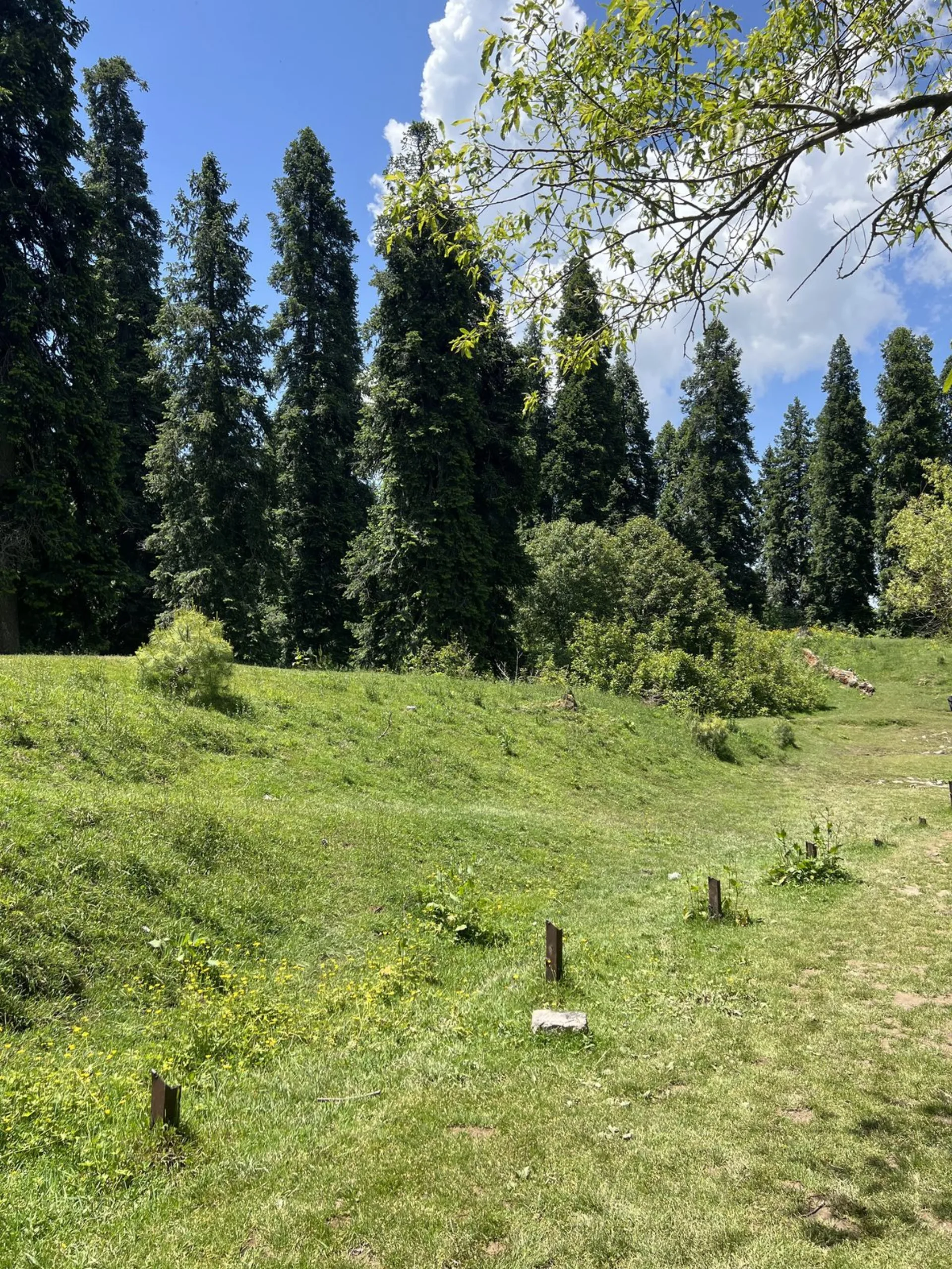 Mushkpuri Top, cover photograph