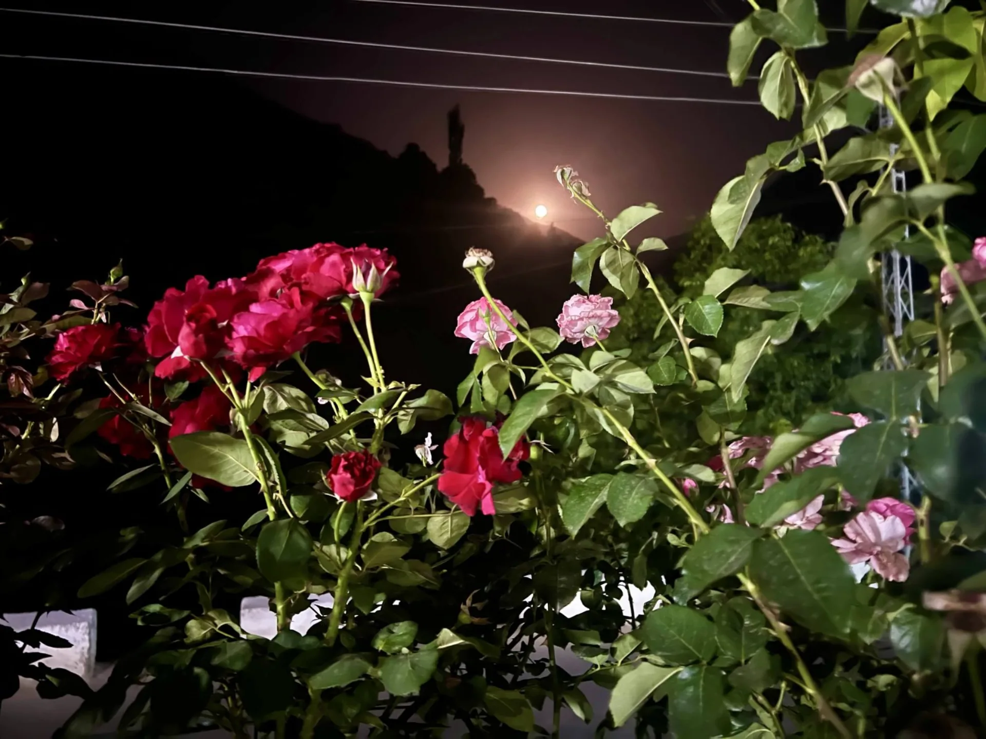 Kashmir Bike Tour, photo 13